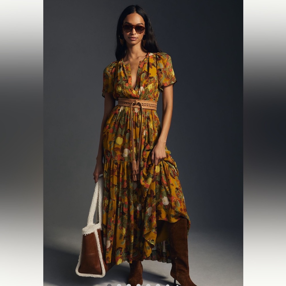 Anthropologie Somerset Chiffon Maxi Dress XL